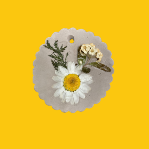 Website Slider