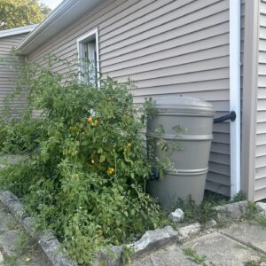 Rain Barrel ZB