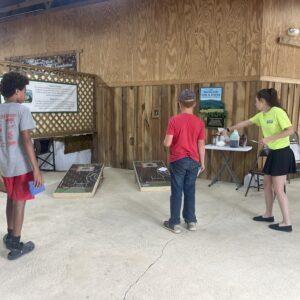 Boys and Zoe Playing Corn Hole