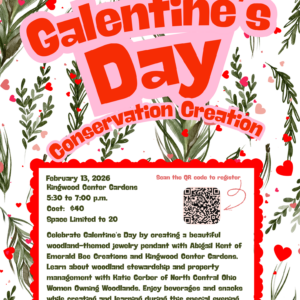 Galentine’s Day Conservation Creation Flyer