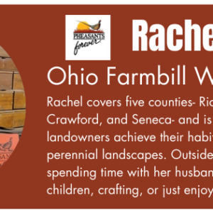 Rachel – Newsletter Married