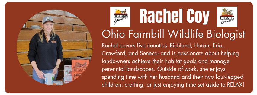 Photo of Rachel Coy, Ohio Farmbill Wildlife Biologist for Pheasants Forever. Her bio reads "Rachel covers five counties- Richland, Huron, Erie, Crawford, and Seneca- and is passionate about helping landowners achieve their habitat goals and manage perennial landscapes. Outside of work, she enjoys spending time with her husband and their two four-legged children, crafting, or just enjoying time set aside to relax!"