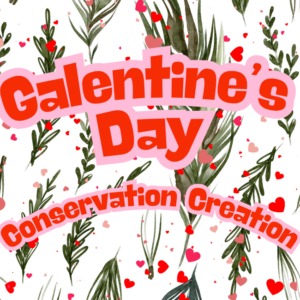 Website Slider (1200 x 650 px)