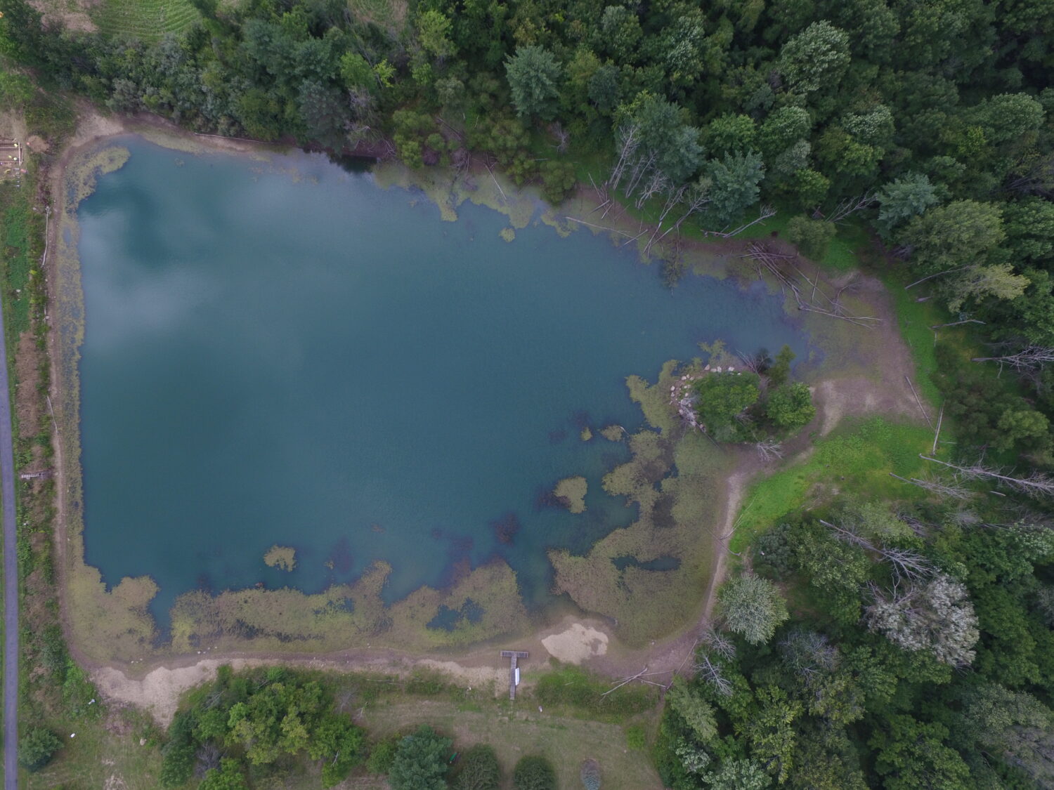 Aerial image of a big pond with green algae growing along the edges. 