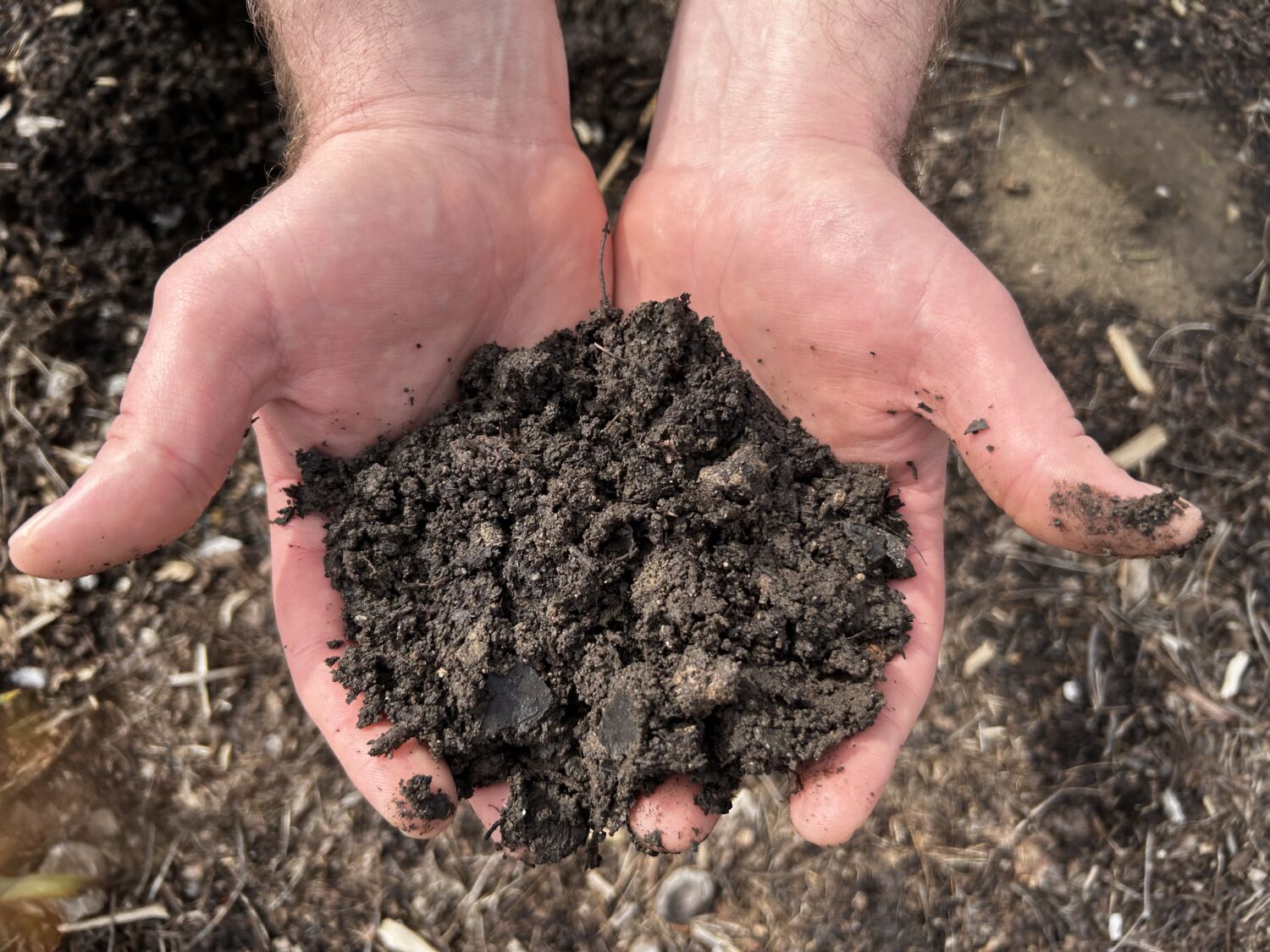 Sam holding a handful of dark brown soil 