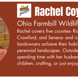 Rachel – Newsletter