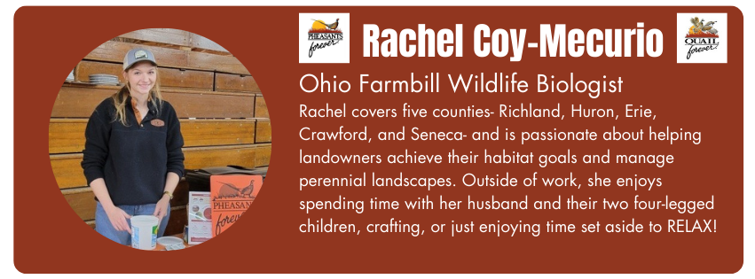 Photo of Rachel Coy-Mecurio, Ohio Farmbill Wildlife Biologist for Pheasants Forever. Her bio reads "Rachel covers five counties - Richland, Huron, Erie, Crawford, and Seneca - and is passionate about helping landowners achieve their habitat goals and manage perennial landscapes. Outside of work she enjoys spending time with her husband and their two four-legged children, crafting, or just enjoying time set aside to relax." 