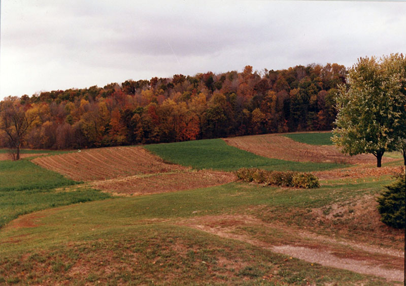 1991
Cooperator of the Year Award, Dean-Howard Cook
Photo ID#: RSWCD535