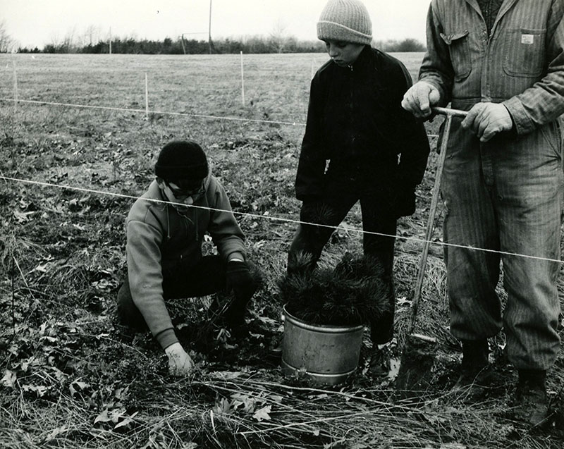 Beech Grove 4-H Club at Rural Life Center
1,000 White Pines
Mike Wagner, George Shibbley and Brill Briner
Photo ID#: Y18