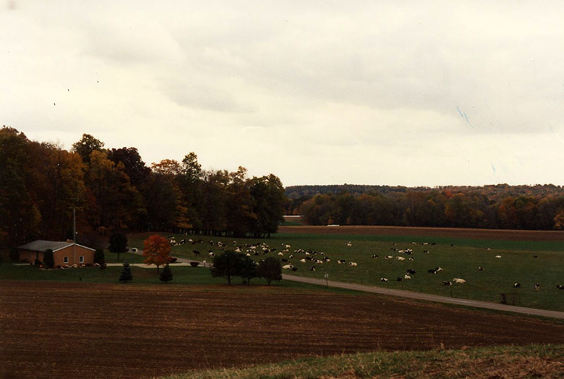 Conservation Winner: Cook Farm
Photo ID#: RSWCD617