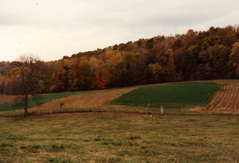 Conservation Winner: Cook Farm
Photo ID#: RSWCD618