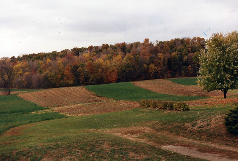 Conservation Winner: Cook Farm
Photo ID#: RSWCD619