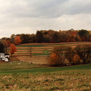 00_00_0000_Cook_Farm_1_Website-5721