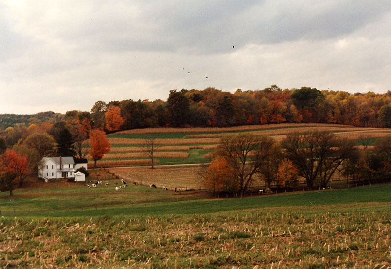 Conservation Winner: Cook Farm
Photo ID#: RSWCD607