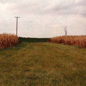 00_00_0000_Cook_Farm_4_Website-5724