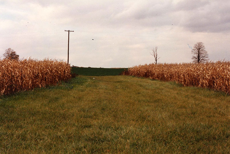 Conservation Winner: Cook Farm
Photo ID#: RSWCD610