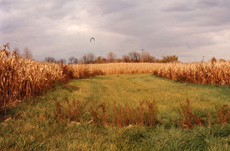 Conservation Winner: Cook Farm
Photo ID#: RSWCD611