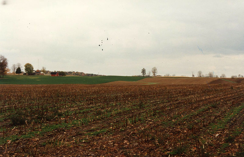 Conservation Winner: Cook Farm
Photo ID#: RSWCD613