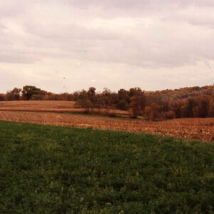 00_00_0000_Cook_Farm_8_Website-5728