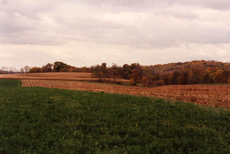 Conservation Winner: Cook Farm
Photo ID#: RSWCD614