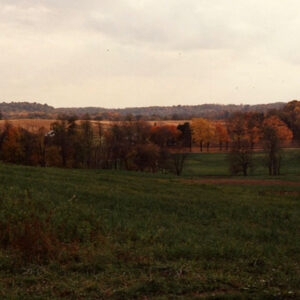 00_00_0000_Cook_Farm_9_Website-5729