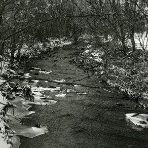 00_00_0000_Creek_flowing_though_forest_in_wintertime_website9-5638