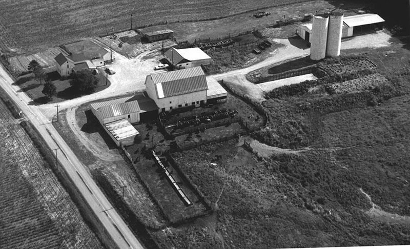 Dan Wittmer farm
Beef cattle feeding
Photo ID#: AE124