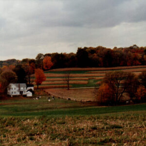 00_00_0000_Farm_landscape0001-2297