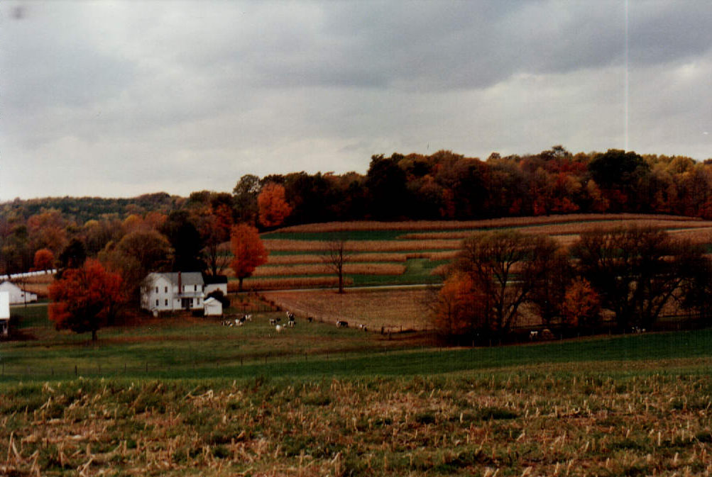 Farm Landscape
Photo ID#: A936