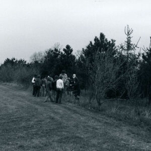 00_00_0000_Group_planting_trees._Location_unknown_website-5545