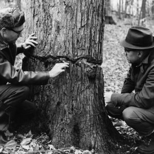 00_00_0000_L_R__Dean_Swigart__Harris_Quam___frilling_method__Walter_Swigart_Woods_website-3803