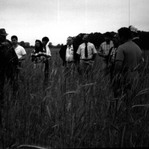 00_00_0000_Rye_Cover_Crop_Mathis_Garrison_Knapp_Kelly_Blay_Ault_Beck_Hildreth_Ernst_Huft_website-637