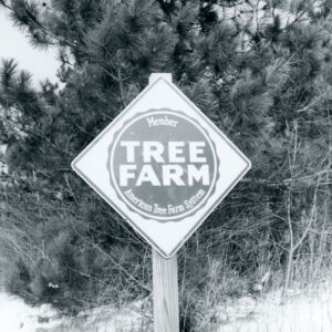 00_00_0000_Tree_Farm_sign_website-5371