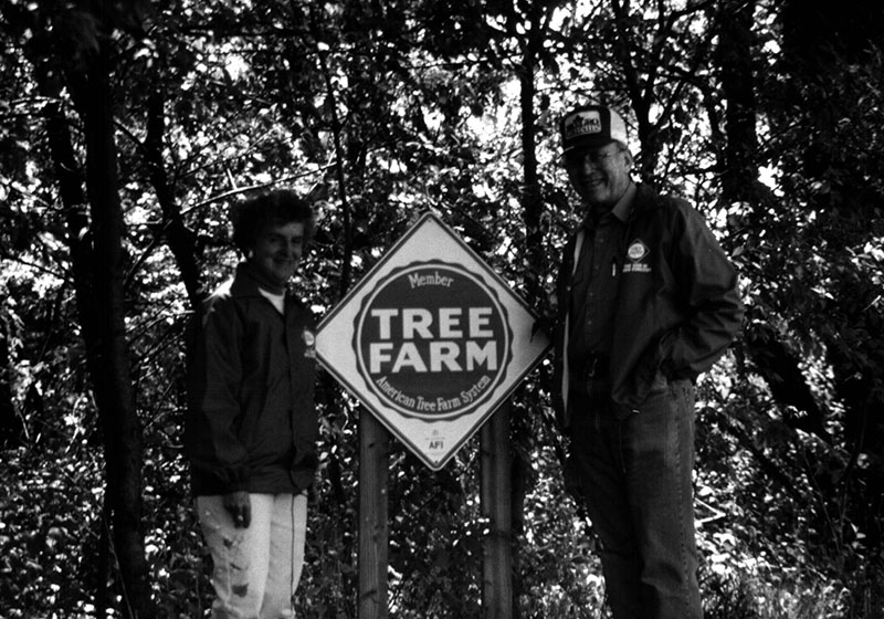 Tree Farm
Photo ID#: S168