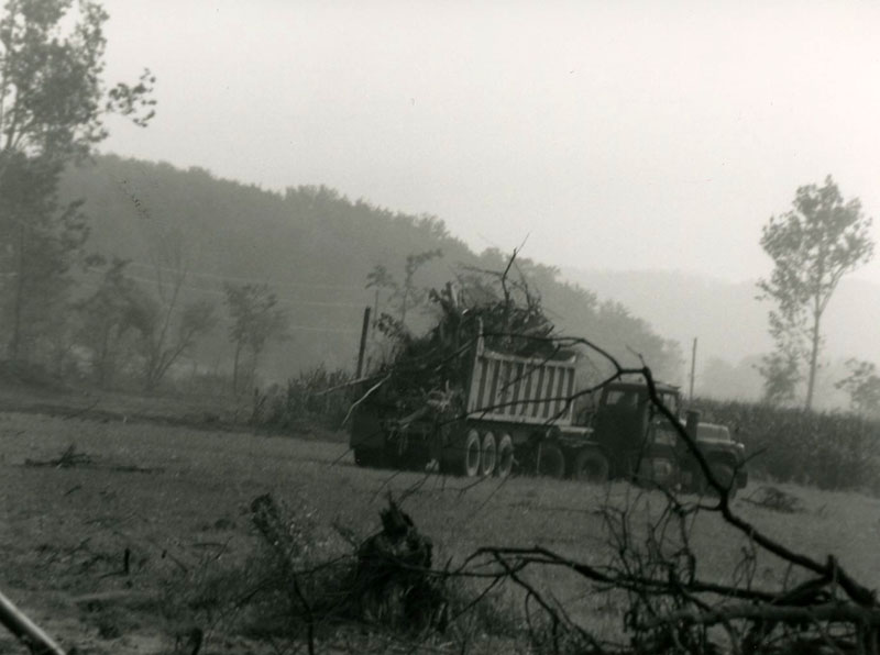 Truck carrying tree rubble from flood aftermath
Photo ID#: RSWCD572