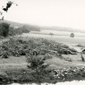 00_00_0000_Truck_dumping_into_a_pile_of_tree_rubble__1_website-5409