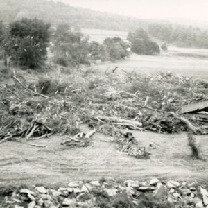 00_00_0000_Truck_dumping_into_a_pile_of_tree_rubble__2_website-5410