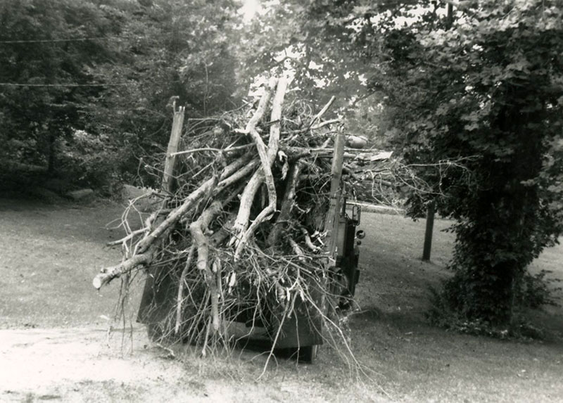 Truck hauling a pile of tree rubble
Photo ID#: RSWCD575