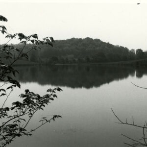 00_00_0000_Unidentified_pond__1_website-5373