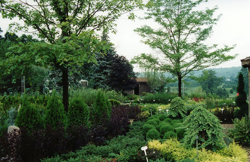 Wade & Gatton Nursery
Photo ID# N75