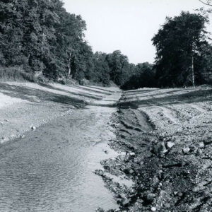 00_00_0000_Water_running_through_forest._Location_unknown_website-5335