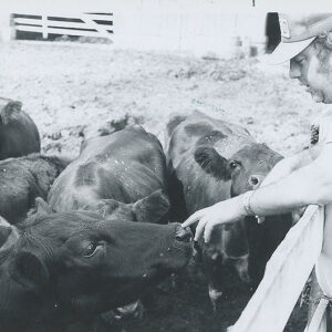 00_00_0000__10._Man_leaning_on_fence_look_at_cattle._website___Copy-684