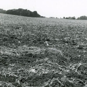 00_00_0000_field_with_stubble_website-5274
