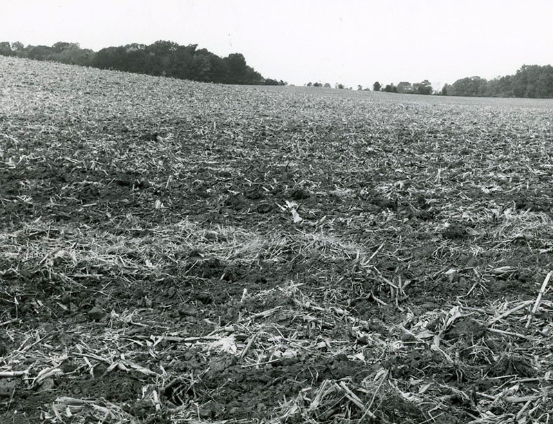 Field with stubble
Photo ID#: A1035