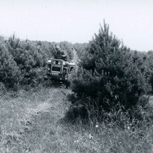 00_00_00_Man_on_equipment_traveling_through_row_of_pine_trees_website-5847