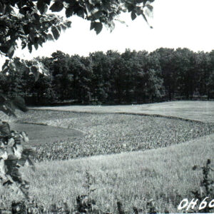 00_00_1941_J.C.Robeson_owner_K._Cook_tenant__4th_year_rotation_strip_cropping0001-2305