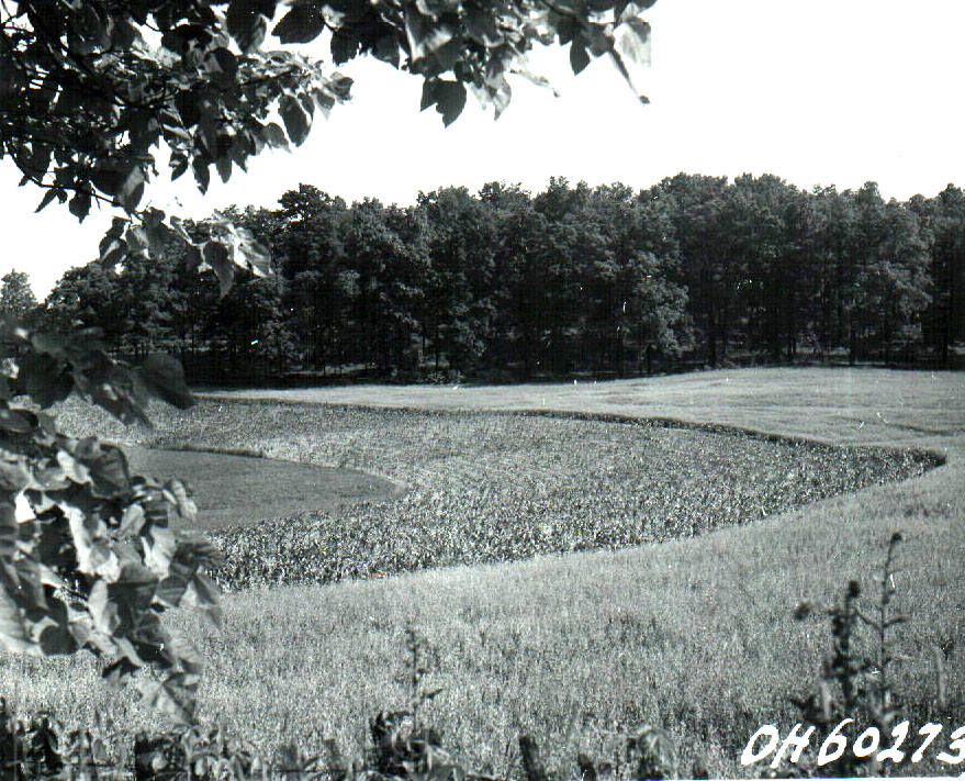 1941
J C Robeson (Owner) and K. Cook (Tenant)
Strip cropping, 4th year
Photo ID#: A944