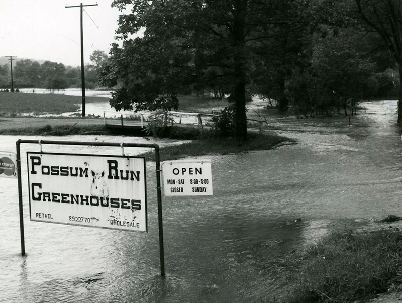 1970
Flood at Possum Run Greenhouse
L105