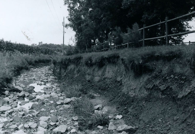 1980
Lexington subdivision erosion
Photo ID#: RSWCD577