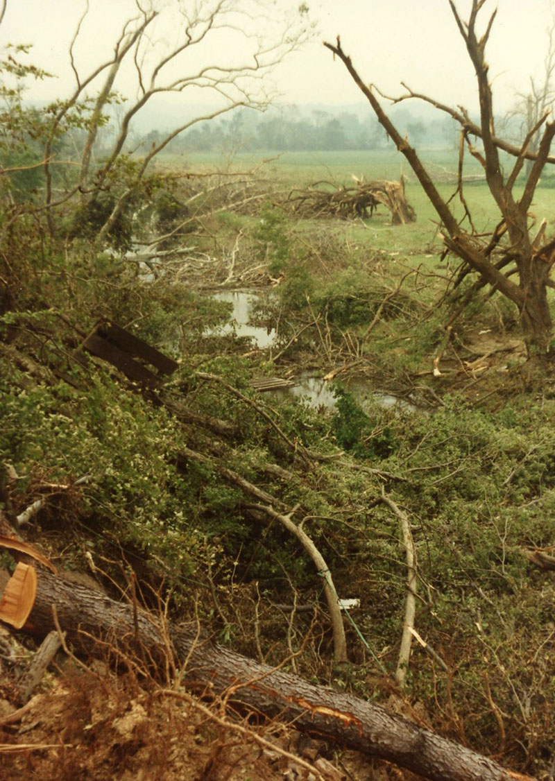 1990
Tornado damage in Cedar Fork. West Bellville
 
W130